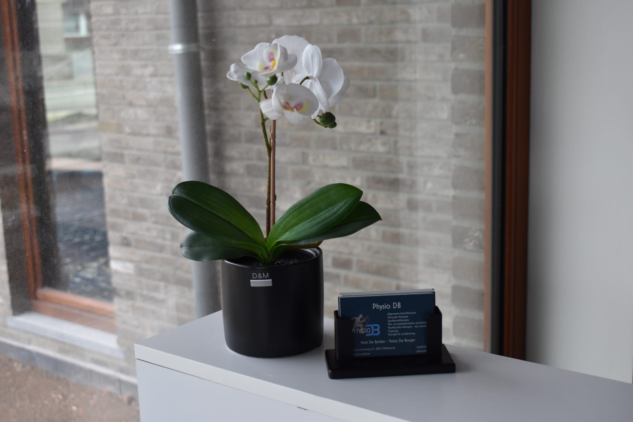 De receptie van PhysioDB, voorzien van een orchidee en business kaartjes.